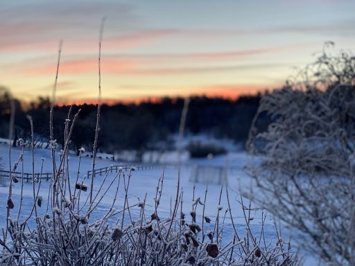 Information från skolledningen januari vt-24