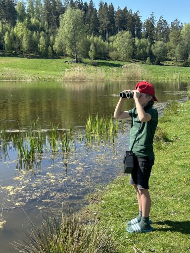 23/24 Jupiter månadsbrev juni