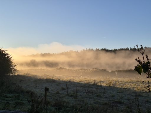 Mars månadsbrev Oktober