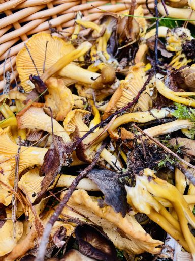 Fritids månadsbrev – Oktober